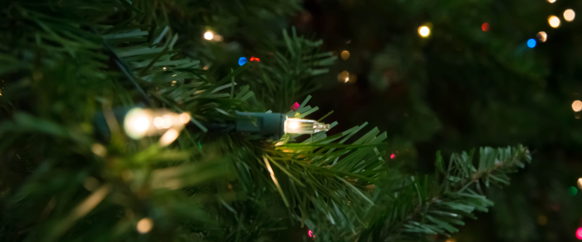 A close-up of a Christmas tree decorated with Christmas tree lights