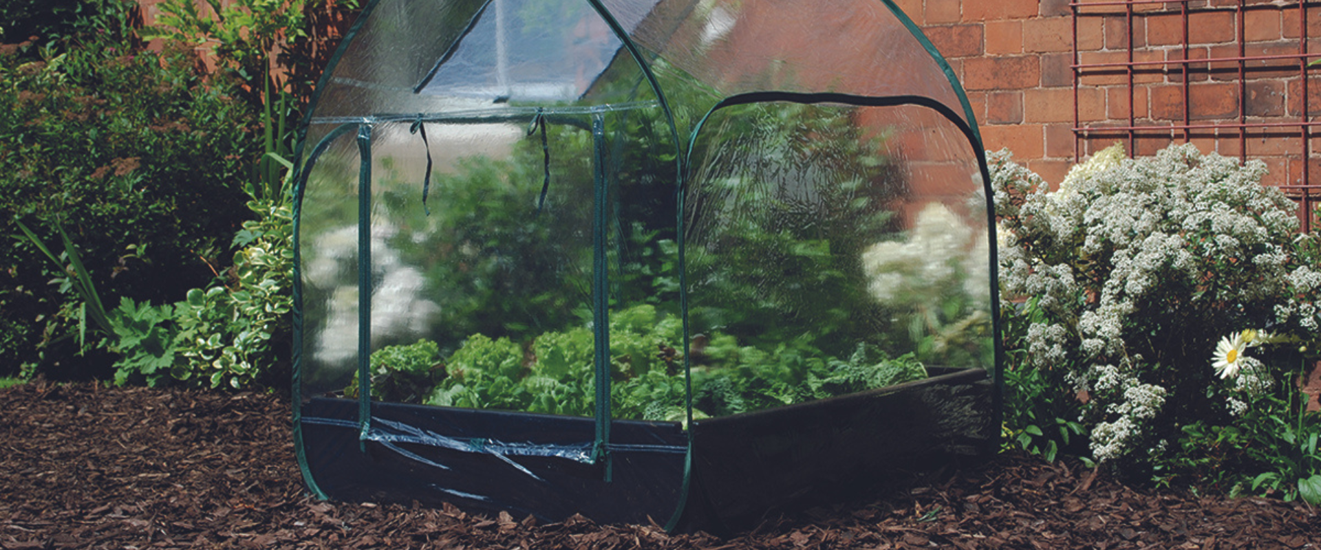 A grow bed covered with a pop-up cloche