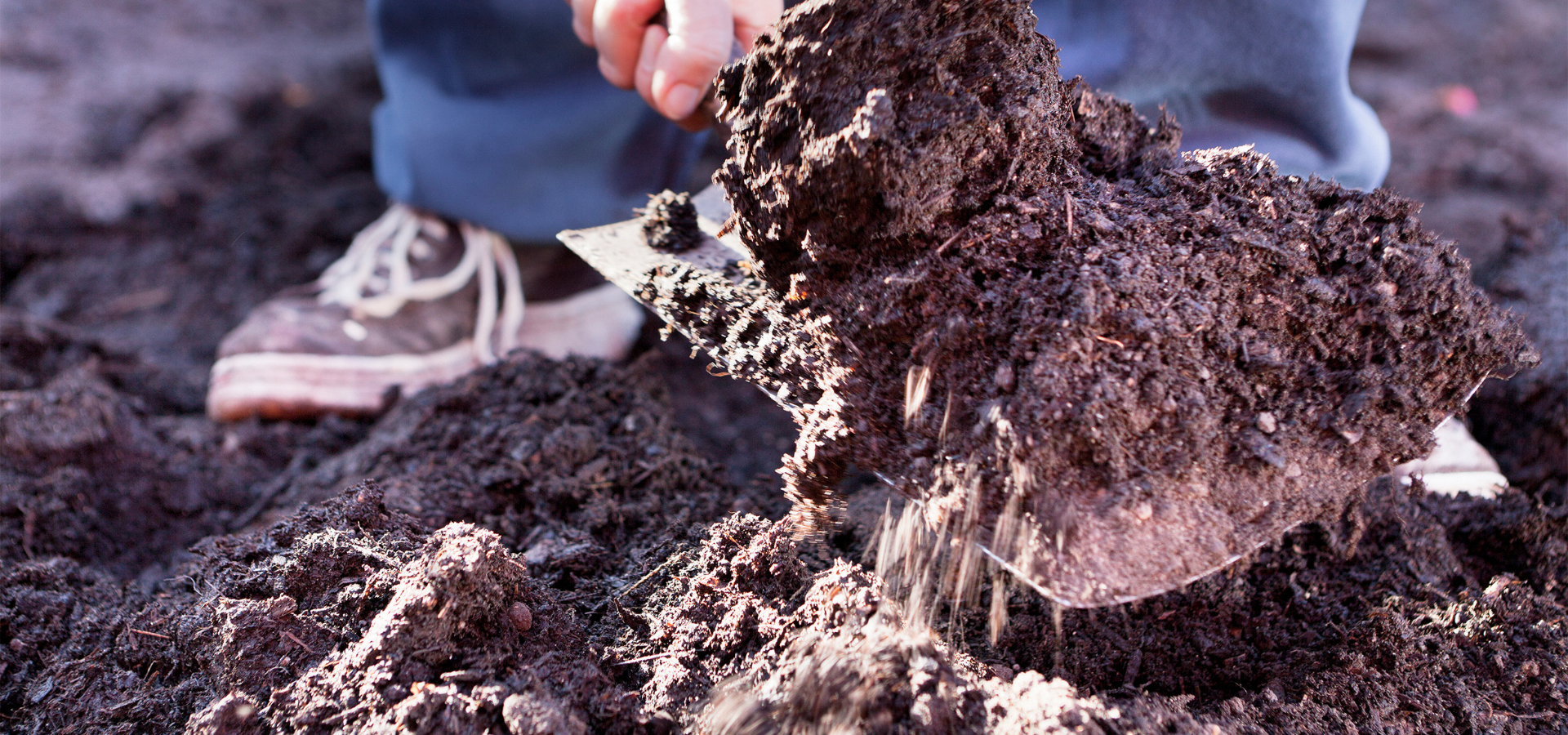 A man digging into the soil with a spade