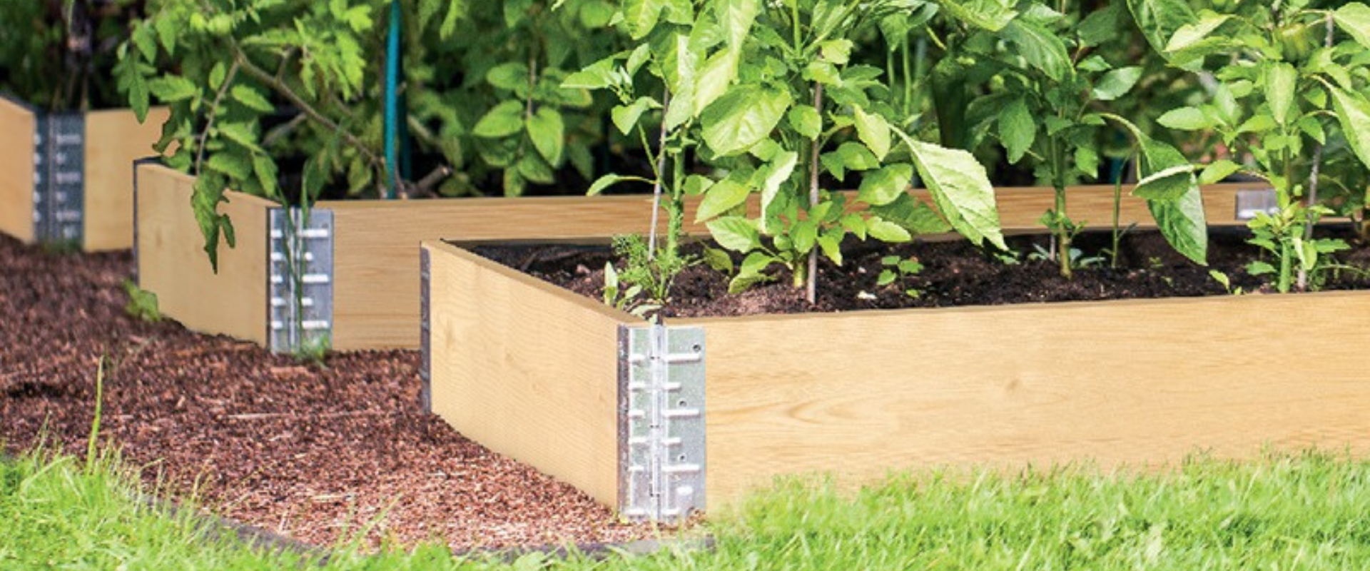 A raised bed filled with crops