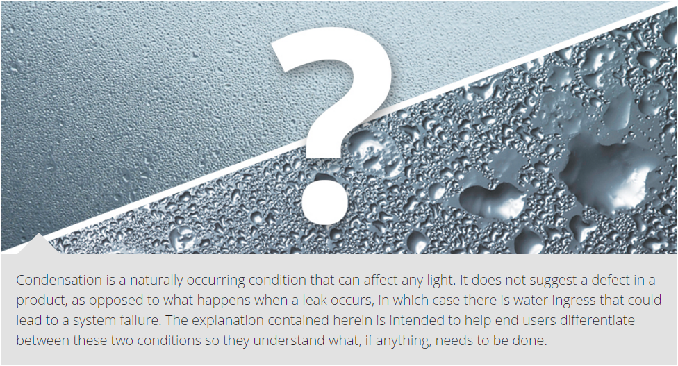 Condensation or Water Ingress?