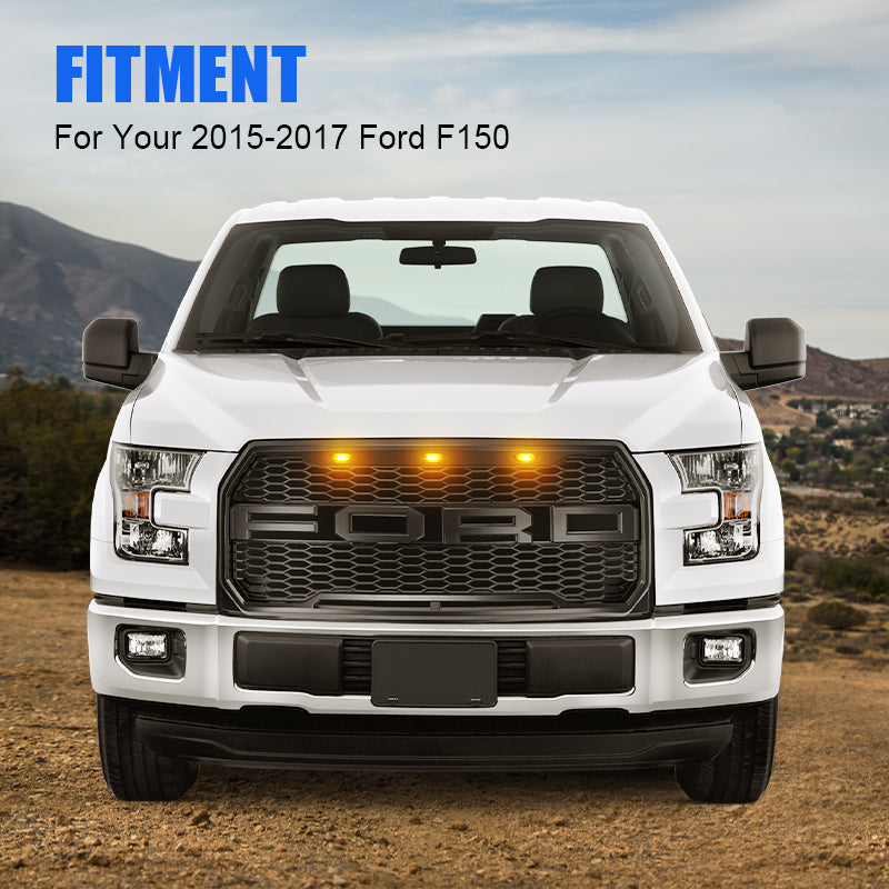 F150 Grille