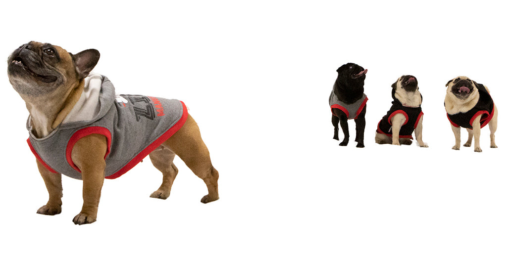 Pet Sweatshirts