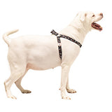 Black Pet Harness 