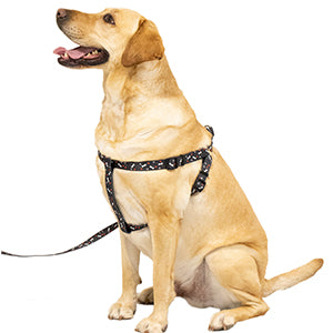 Black Pet Harness