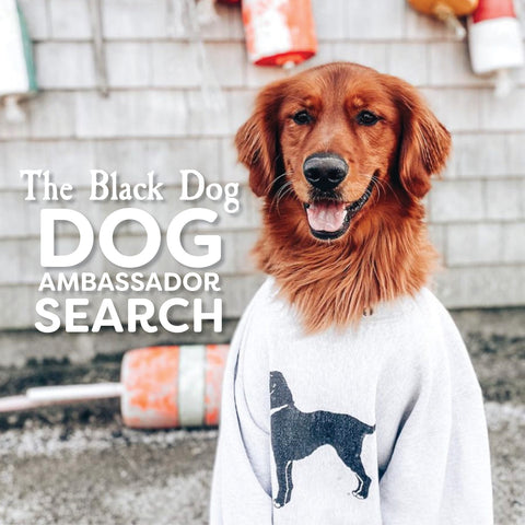 Black Dog Brand Ambassador 2022 Application – The Black Dog