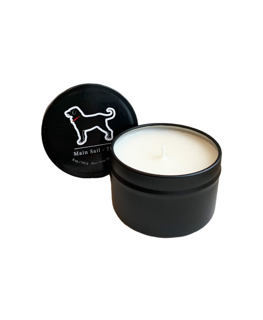 9 oz Glass Tumbler Soy Wax Candle – Black Dog Candles