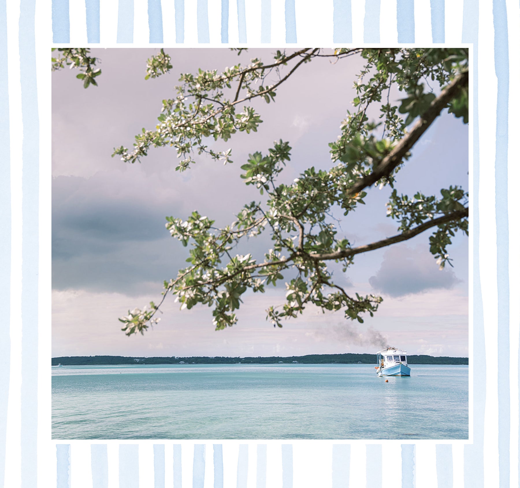 tree and water