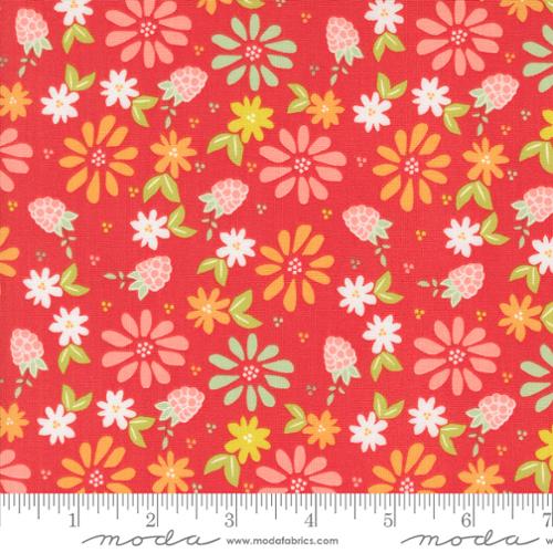 "Raspberry Summer"-Spring Berries Raspberry by Sherri & Chelsi for Moda