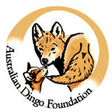 Australian Dingo Foundation