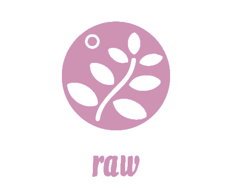 raw immunity shield icon