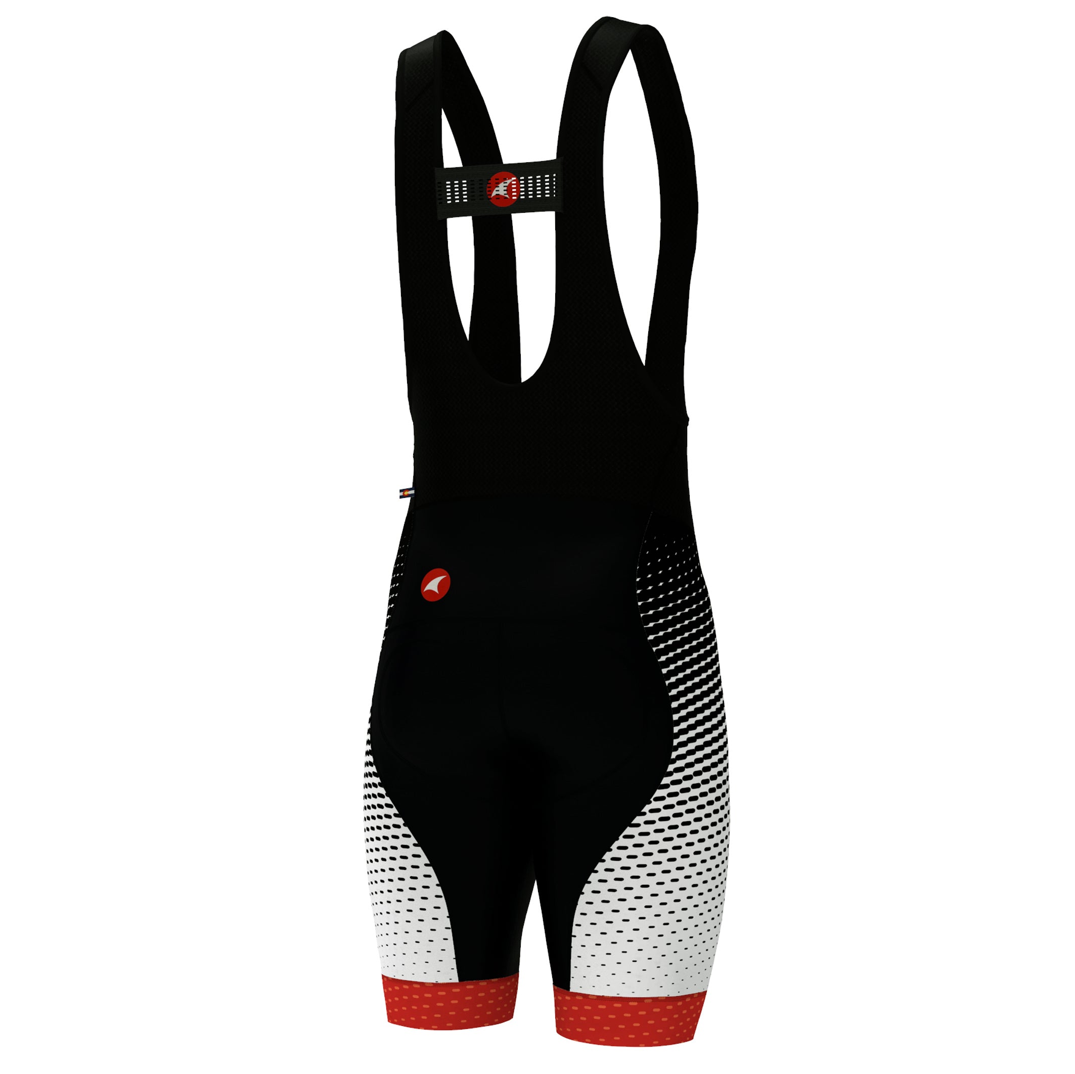 Download Lab Series Cycling Bib Shorts for Men - Pactimo