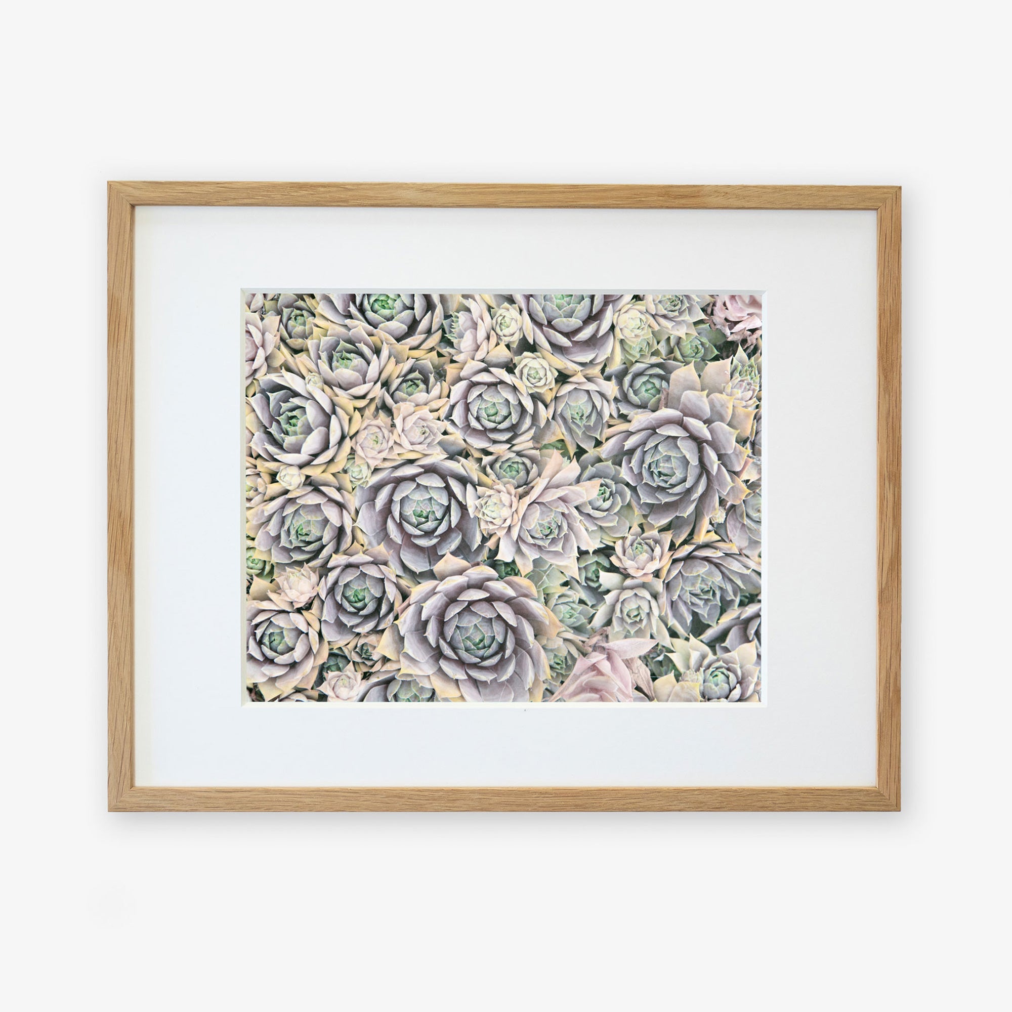 Pastel Green Botanical Print 'Succulents Forever'
