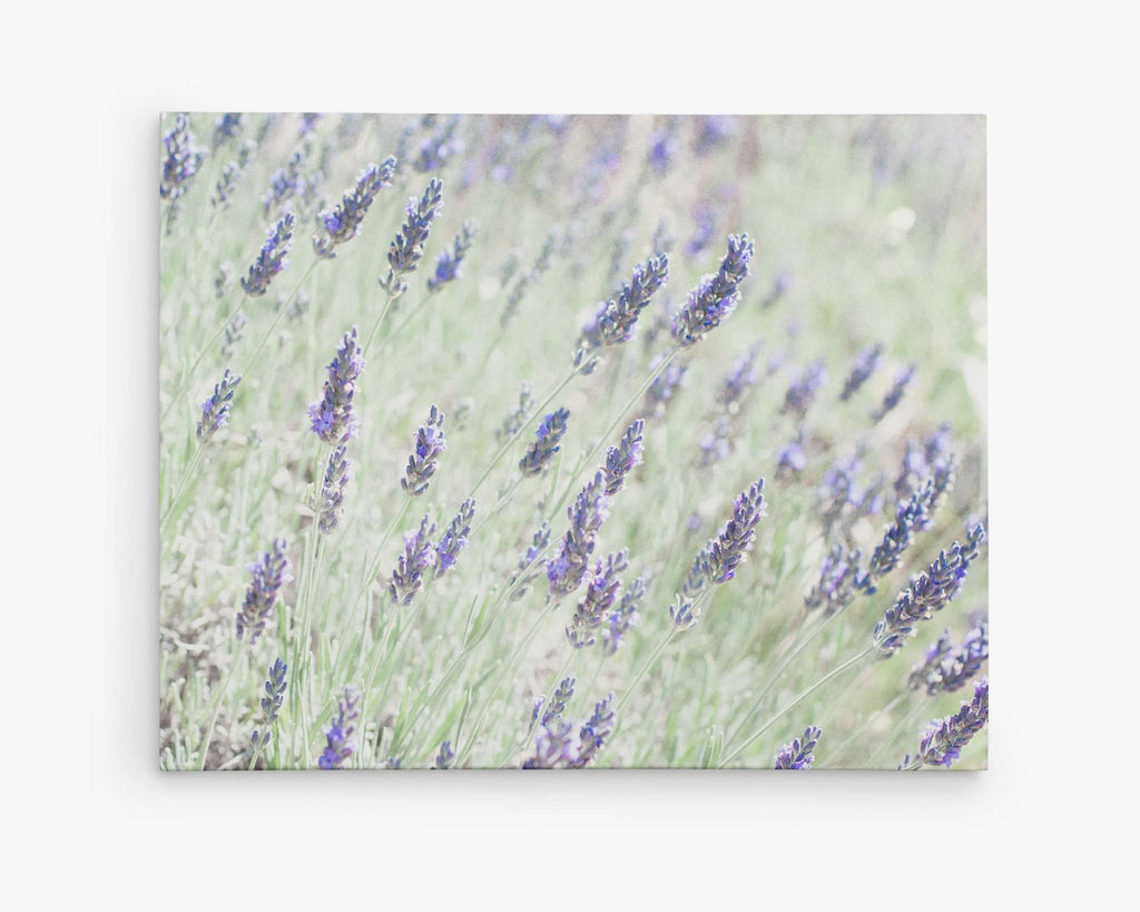 Featured image of post Purple And Grey Canvas Wall Art : Turn your photos to art, browse classic art, build a custom bus roll, or discover emerging artists.