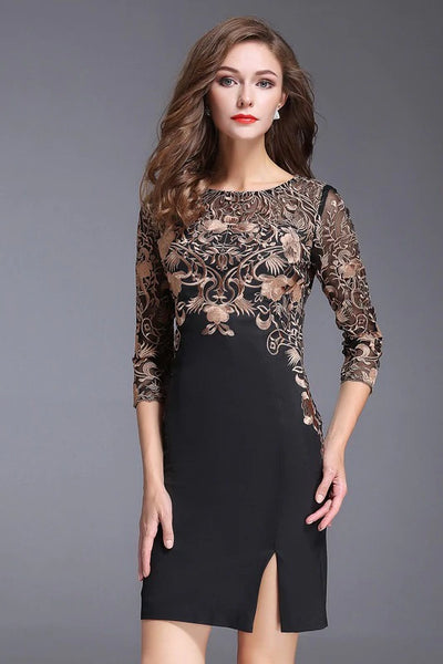 Embroidered Lace Dress - Black Dress - Dress Album