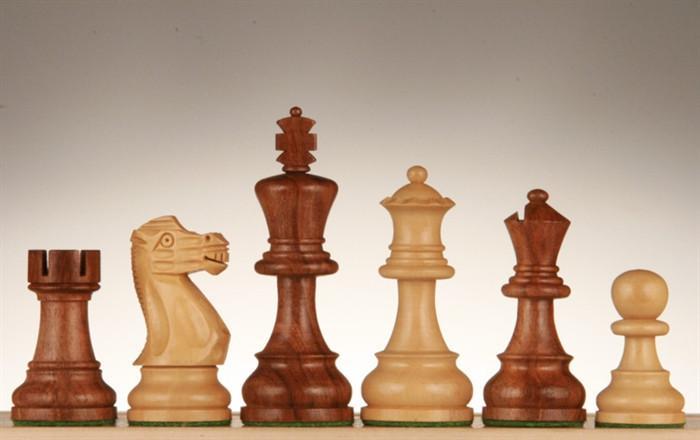 gay online chess site for beginners