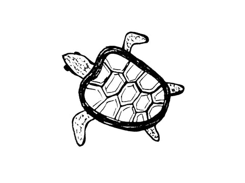 IMAGE-turtle-sketch