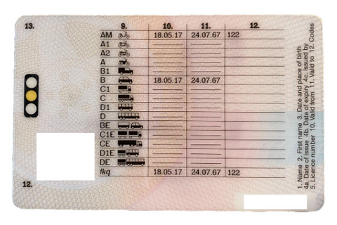 back of driving licence