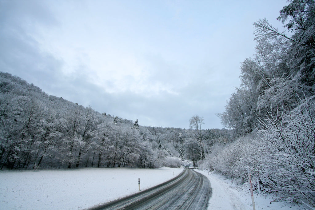 snowy road and trees