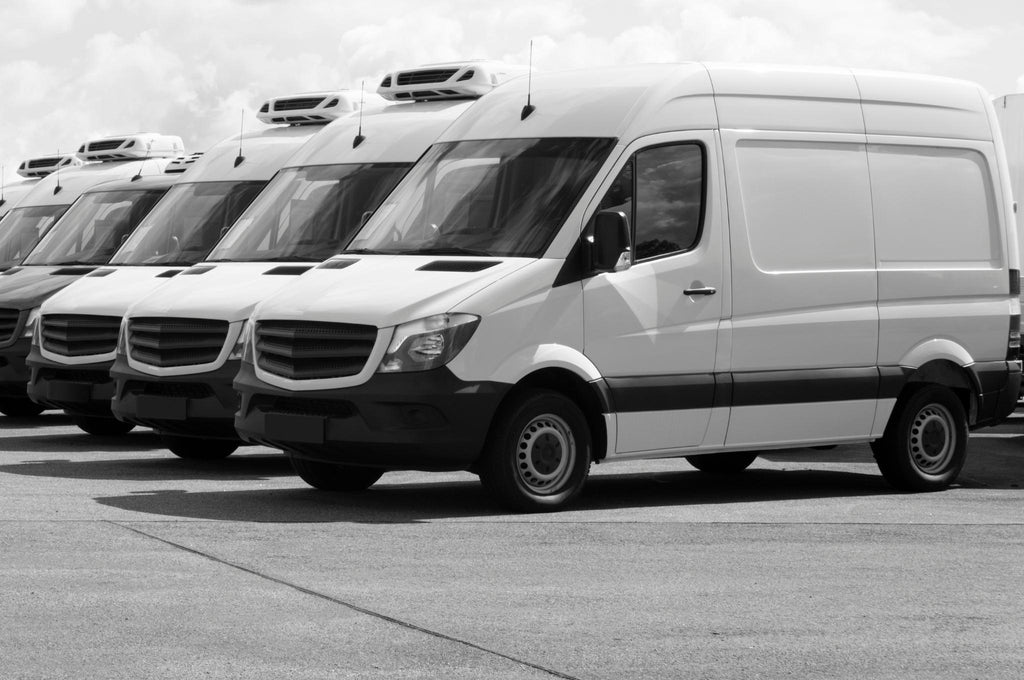 Line up of vans