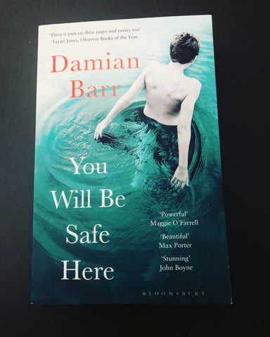 You will be safe here by Damian Barr