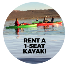 Rent a 1-Seat Kayak!