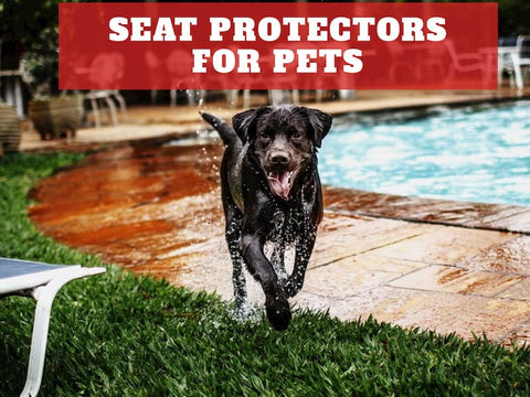 seat protectors for pets