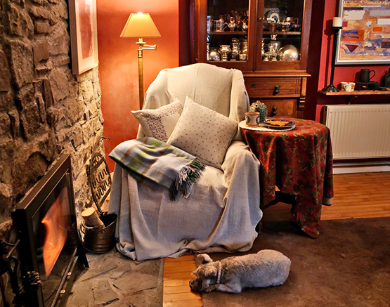 Cosy reading nook with armchair covered in blanket and Nicholas Mosse Irish linen cushions. Table at side with teapot, large mug and plate handcrafted by Nicholas Mosse Pottery with gingerbread man. Dog asleep in front of fire.