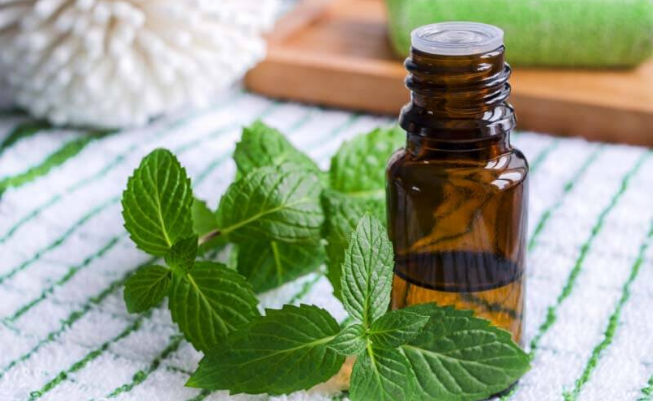 Peppermint oil for morning sickness