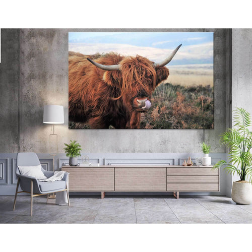 Hardy Scottish Highland Cows Living on Moorland №04131 Ready to Hang Canvas Print