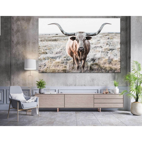 Longhorn Cow show off horns №04133 Ready to Hang Canvas Print