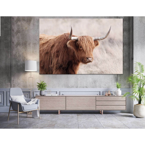 Highland Cattle №04129 Ready to Hang Canvas Print