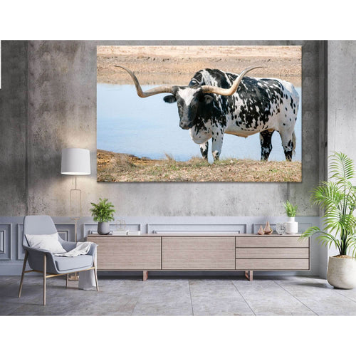 Black and White Longhorn Steer №04135 Ready to Hang Canvas Print