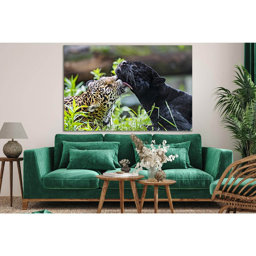 Tender Moment With Leopards №SL1519 Ready to Hang Canvas Print