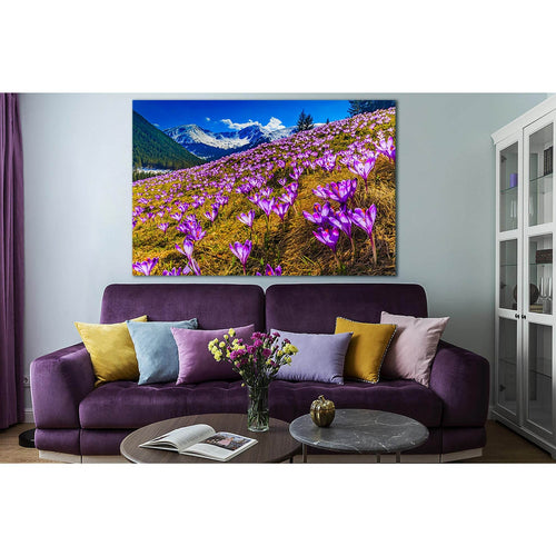 Flowers On The Alps Mountains Slopes №SL1598 Ready to Hang Canvas Print