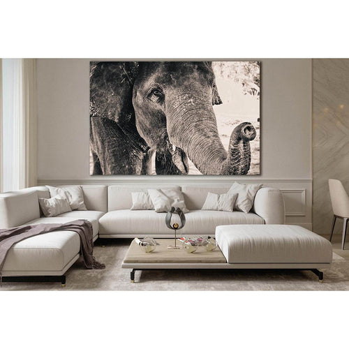 Big Elephant Monochrome Portrait №SL1505 Ready to Hang Canvas Print