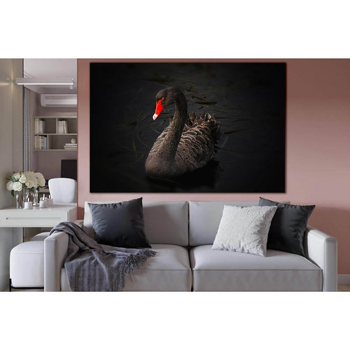 Black Swan №SL1502 Ready to Hang Canvas Print