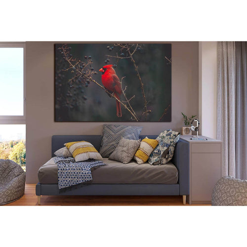 Bird Red Cardinal №SL1528 Ready to Hang Canvas Print