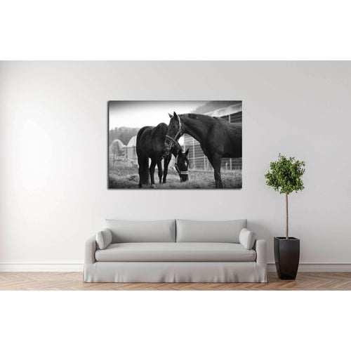 Black and white horse wall art №5008