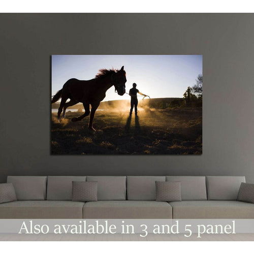 Sunrise and horse canvas print №5013