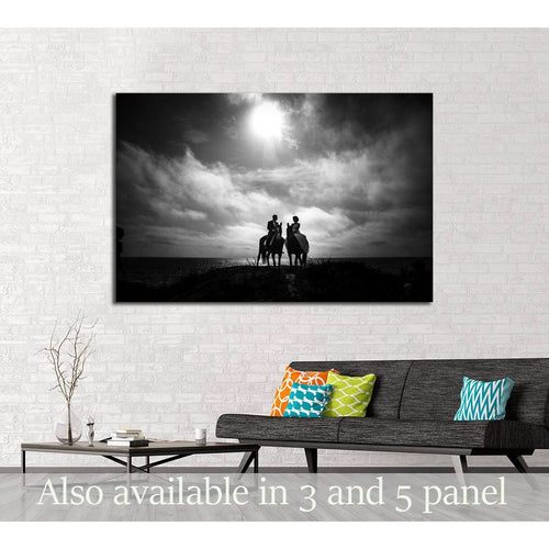 Black and white horse canvas print №5016
