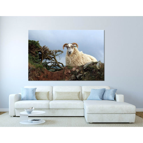 Horned Sheep On The Rock №04249 Ready to Hang Canvas Print