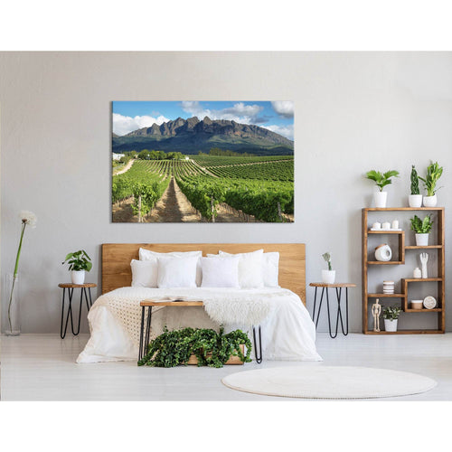 Vineyards Landscape Near Wellington, South Africa №04212 Ready to Hang Canvas Print