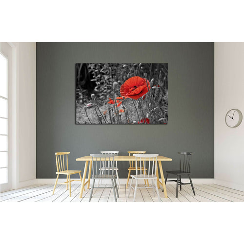 A closeup of a red poppy on a black and white background №2752 Ready to Hang Canvas Print