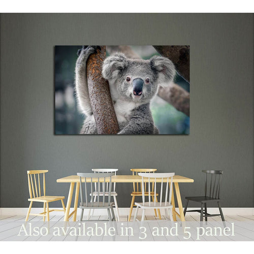 A cute koala №2378 Ready to Hang Canvas Print