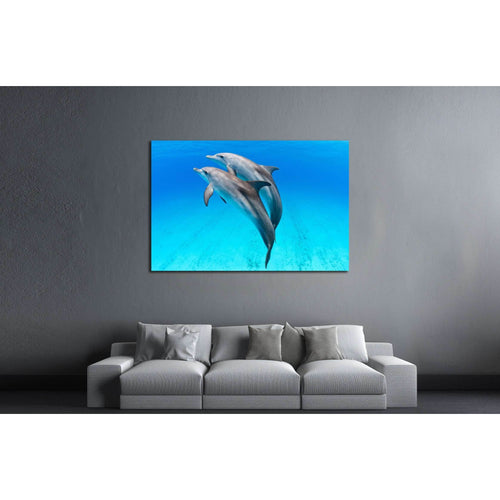 A playful dolphin duo in the seas of the Bahamas №2369 Ready to Hang Canvas Print