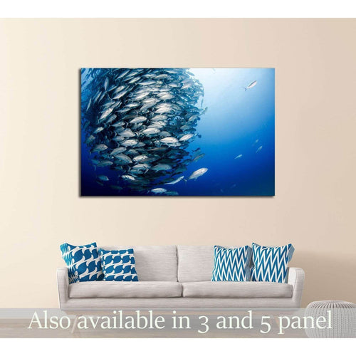 Big eye Trevally Jack, Cabo Pulmo National Park, The world's aquarium. Baja California Sur,Mexico №2367 Ready to Hang Canvas Print