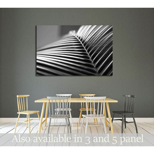 Black and white close up view of beautiful green palm leaf on natural background №2833 Ready to Hang Canvas Print