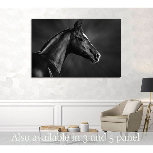 Black and white portrait of arabian horse №3259 Ready to Hang Canvas Print