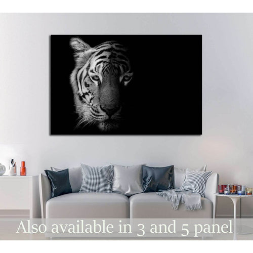 Black & White Beautiful tiger - isolated on black background №2371 Ready to Hang Canvas Print